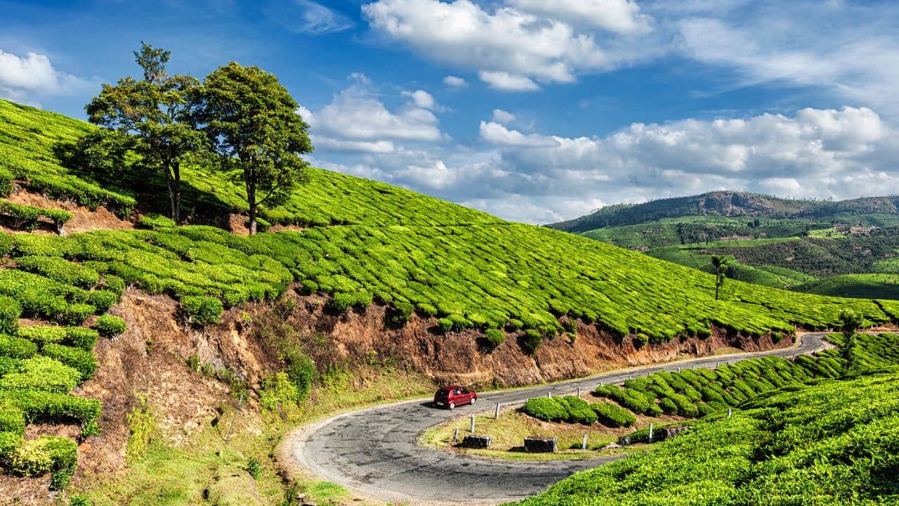 Weekend Gateways Munnar