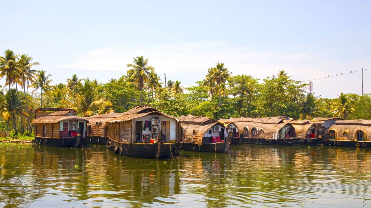 Backwater Kerala